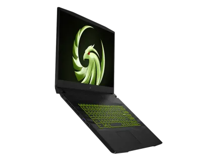 MSI ALPHA 17.3 1