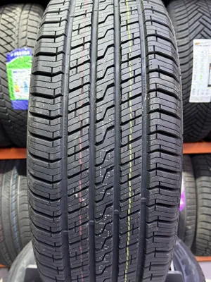 Zitto Ravon neo ev R19 1