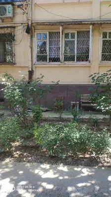 4 xonali kvartira, Qoraqamish 1/2