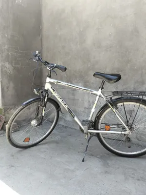 Velosiped 28 razmeri Nemetski Pegasus 1