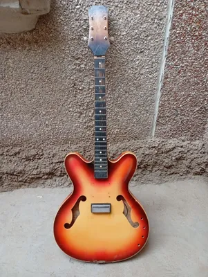 Akkustik elektro gitara.