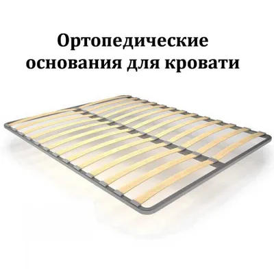 ortopedik asoslar