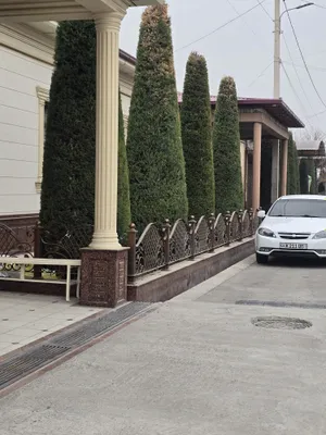 Услуги по формированию кроны, посадке, уходу и обработке можжевельника 1