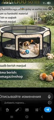 Mushuklar va itlar uchun yopiq ko‘rgazma uychasi 1