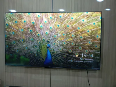 Smart Full HD-4K, QLED televizorlari, diagonali 50–55 dyuym 1