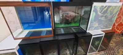 Аквариумы для дома и офиса 1