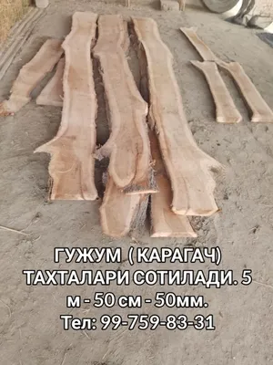 Gu jum taxta, qayrag‘och 1