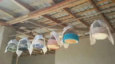 Sayroqi Bedana zo'rlari 1