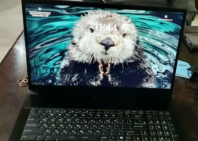 MSI gaming nootebook 1