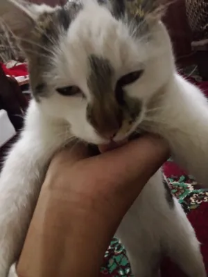 Xachik jinsiy aloqa Porno rus gozal sariq ona sevgilisi bilan