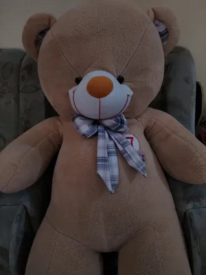 Teddy 1