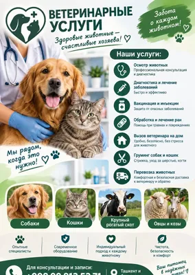 Ветеринарные услуги