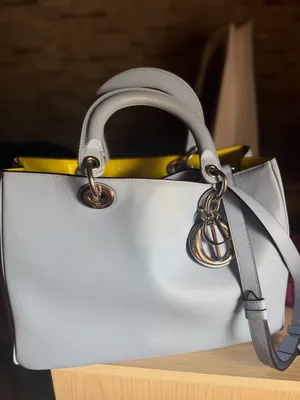 Dior sumkasi 1