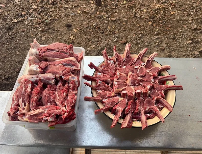 Semiz qoʻy va qōchqorlar bor 27/4 — фото 4