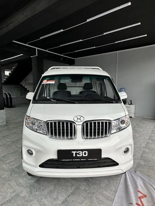 Shineray T30 Yakka balon