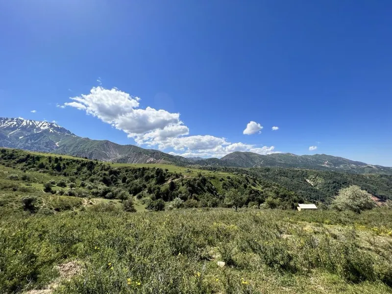 СРОЧНО! Продаётся уникальный земельный участок в горах Чимгана! — фото 3