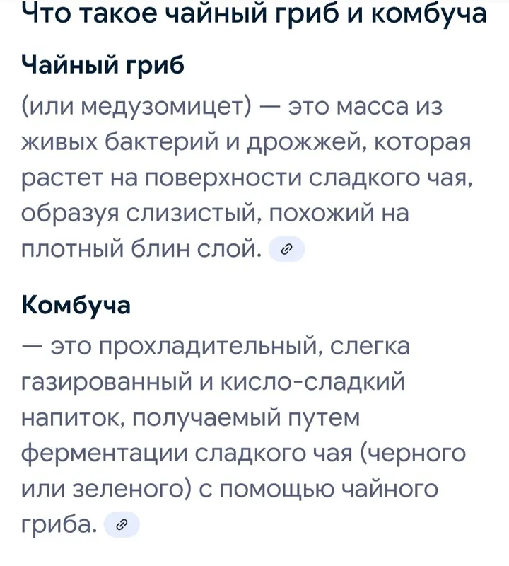 Чайный гриб - Комбуча — фото 3