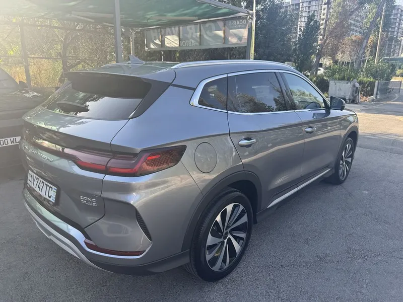 Byd chimpion gibrid 150 tali sotiladi 4 Byd chimpion gibrid 150 tali sotiladi 4