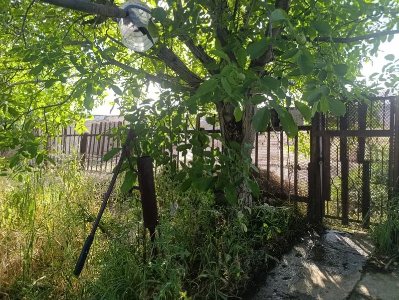 Дача янги Узбекистон — фото 6