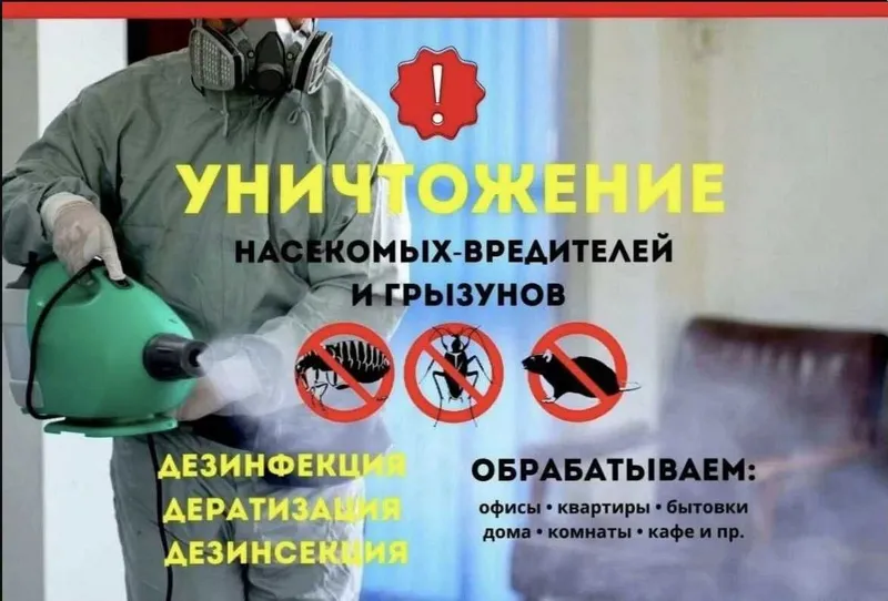 Dezinfeksiya Dizinfeksiya klapa Dizenfeksiya tarakan ilon chayon klop — фото 1