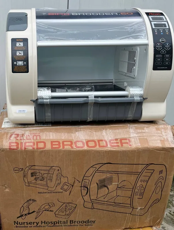 Incubatorlar va brudur original koreyski 6 Incubatorlar va brudur original koreyski 6