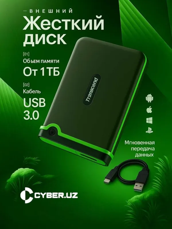 Tashqi qattiq disk, Portativ HDD Transcend 2TB