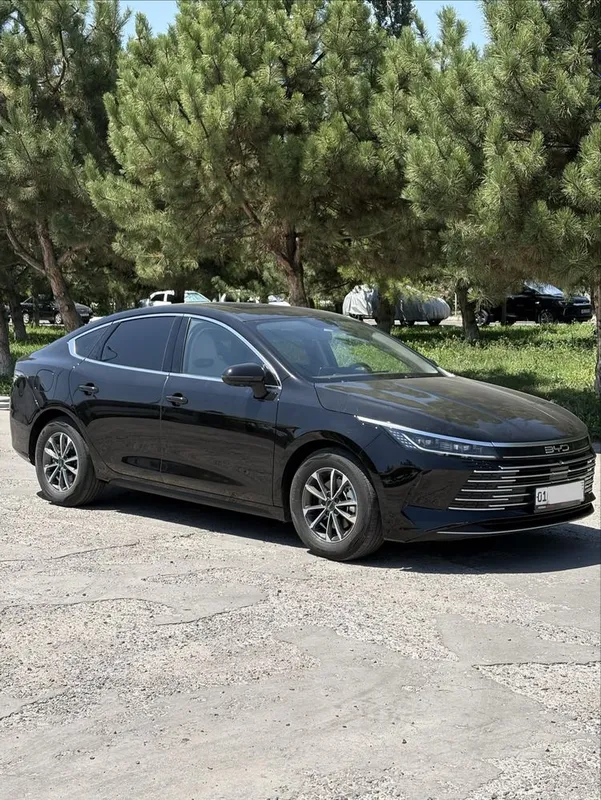 byd chazor 2пазитса 55км 2 byd chazor 2пазитса 55км 2