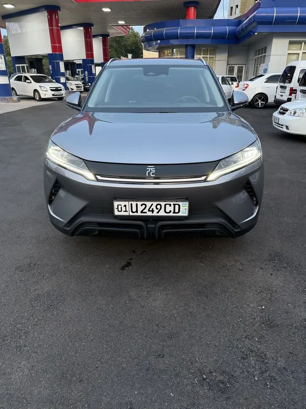 Byd yuan up 2024