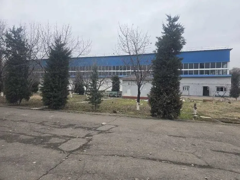 Сдается помещение под склад производство, в центре, Мирабадский район