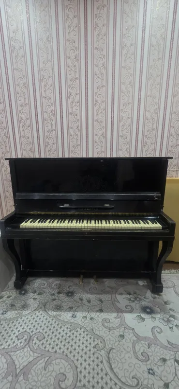 Pianino пианино Беларусь 2