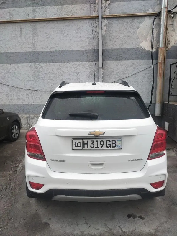 Brinchi qoʼl kraskasi tozza 5 Brinchi qoʼl kraskasi tozza 5