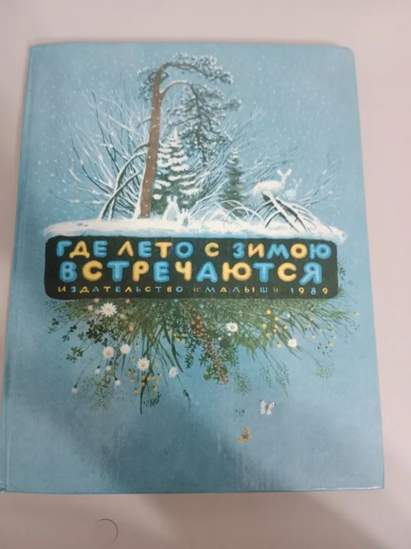Книга где лето с зимою встречаются в идеальном состоянии