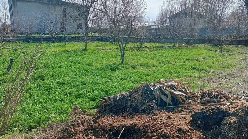 7 so'tiq - Oqdaryo tumani/ Dahbet shaharchasi/ Bozorjoy mahallasi — фото 4