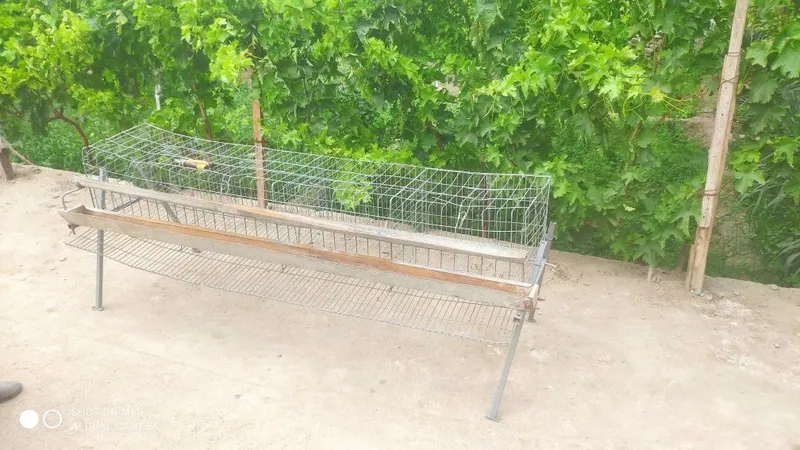 Tovuqxona sotiladi 2