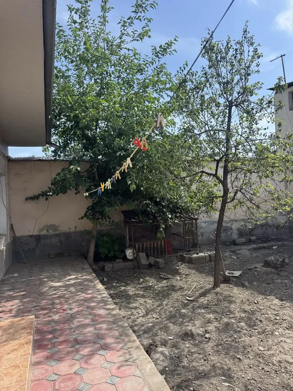 xovli kafe bilan birga sotiladi 6 xovli kafe bilan birga sotiladi 6