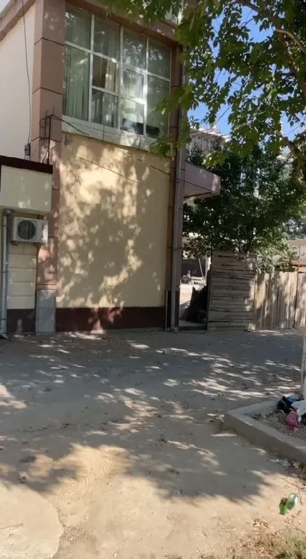 Продажа отдельно стоящего здания (клиника/офис/учебный центр/цех и т.д.) 3