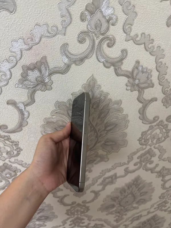 Iphone 15 Pro Natural Titanium 6