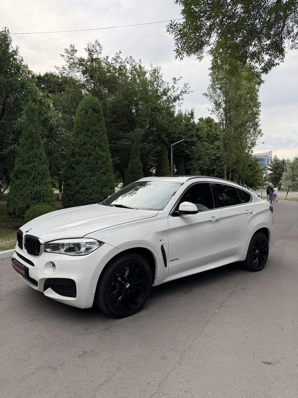 BMW X6 35iXdrive M-paket — фото 1