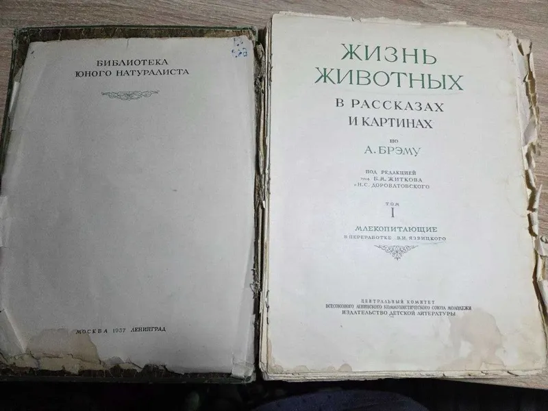 Старинная книга. А. Брэм. Жизнь животных. Выпуск 1937 года. — фото 1