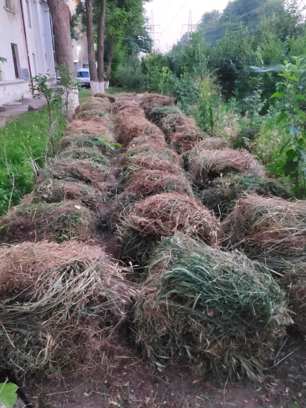 Ўт-пичан , сено продается