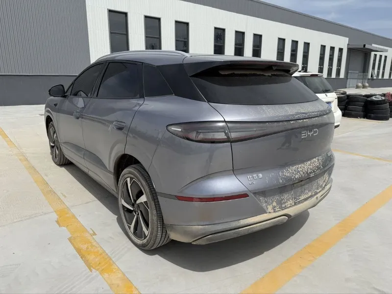 Byd selon 06 ful pazitsiyasi 2025 — фото 5