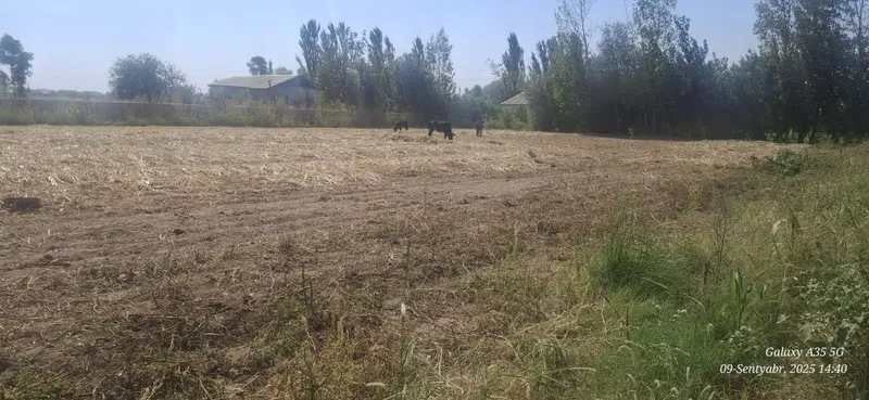 Уй сотаман томарқали — фото 1