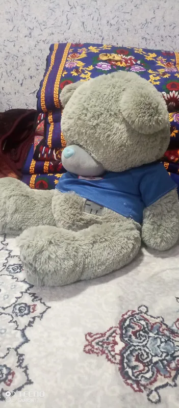 Продаётся Teddy, состояние отличное 3