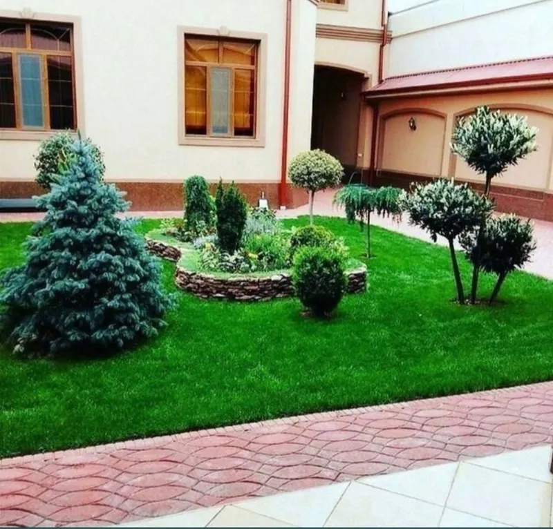 Газон дла вашего дома — фото 1