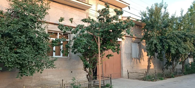 Segli yuqori darxon 8 sotx voli