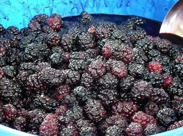 Шотут сотилади