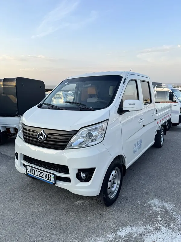 Changan Yili 2018