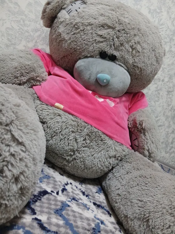 teddi