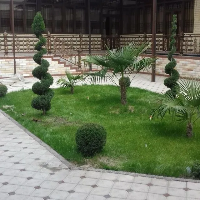 Gazon ekish xizmati landshaft ,poliv xizmati — фото 7
