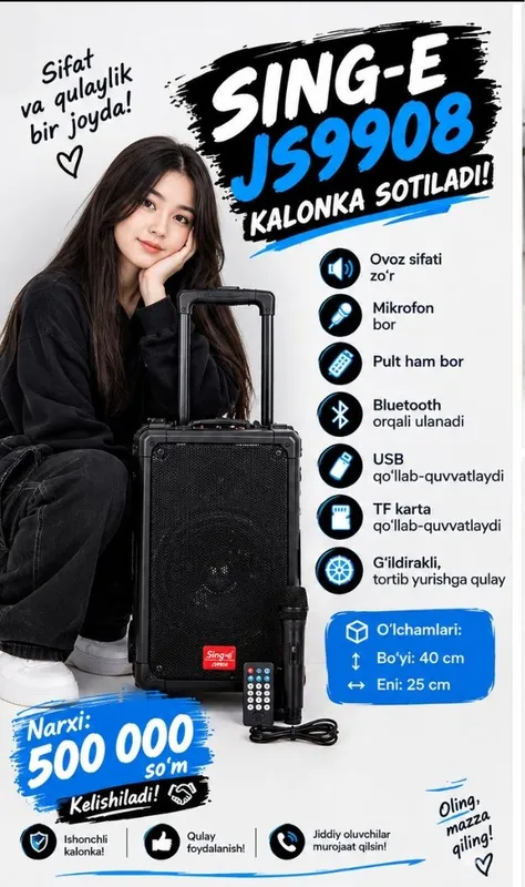 Колонка с микрофоном и пультом 5